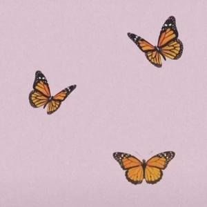 Meet your Posher, Olivia cassandra